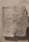 265904233